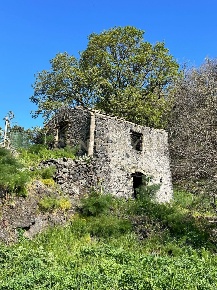Foto Terreno agricolo in CONTRADA VIGNE, Biancavilla di 15000 m² in vendita