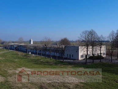 Foto Capannone industriale in Via Cadimarco 16, Fiesse di 5600 m²