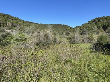 Foto Rustico in Contrada Petraro snc, Chiaramonte Gulfi di 620 m²