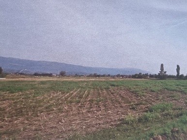 Foto Terreno residenziale in Via Santa Romana 00, Schiavon di 7450 m²