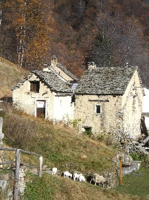 Foto Rustico in Via Alpe Nava -, Varzo di 120 m² in vendita