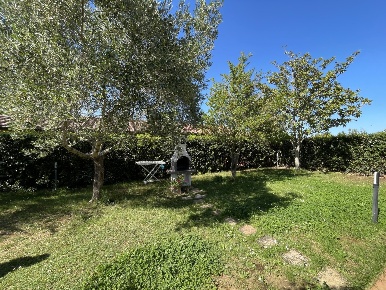 Foto Casa indipendente in Via Aurelia Sud, Cecina Cecina Centro di 35 m²