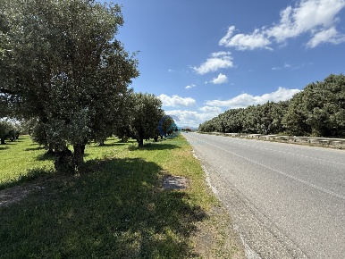 Foto Terreno industriale in Via Bellino 67, Catanzaro Catanzaro Lido