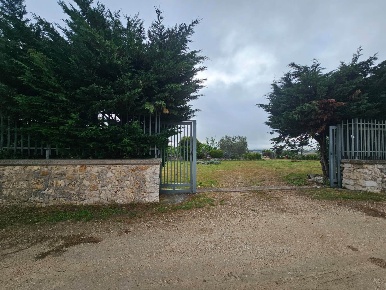 Foto Terreno agricolo a Altamura Japigia di 2000 m² in vendita