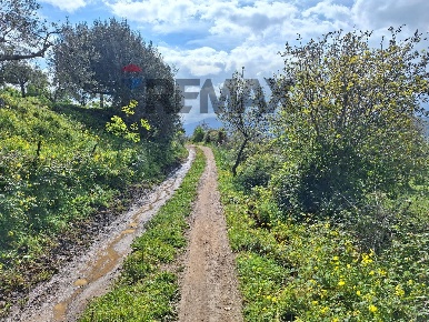 Foto Terreno residenziale in Contrada demani, Pollina Centro di 33000 m²