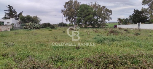 Foto Terreno agricolo in Via del Mirto snc, Avetrana di 1147 m² in vendita