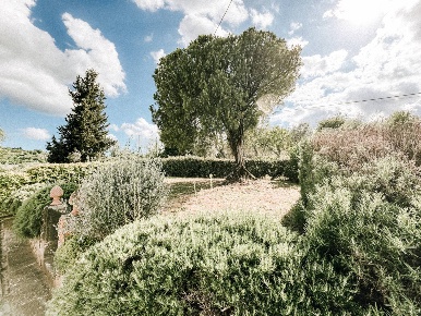 Foto Case semi ndipendenti in via di ventena 12, Montevarchi Città di 85 m²