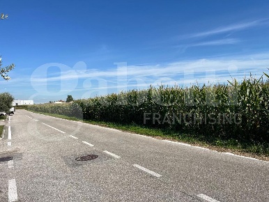 Foto Terreno agricolo a Marostica Centro di 9650 m² in vendita