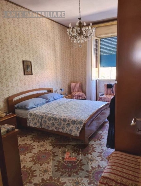 immagine annuncio 5 di 14