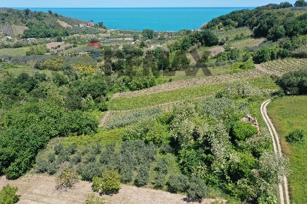 Foto Rustico in Contrada Coste del Molino, Rocca San Giovanni Centro