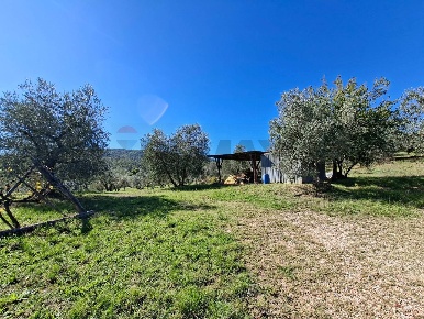 Foto Terreno agricolo in Località il Casalino loppiano snc, di 36920 m²