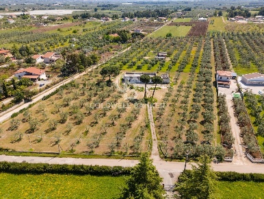 Foto Villa unifamiliare in Strada esterna Regio Bosco Comunale 13, Corato