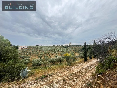 Foto Terreno agricolo in Contrada Latomie, Castelvetrano in vendita