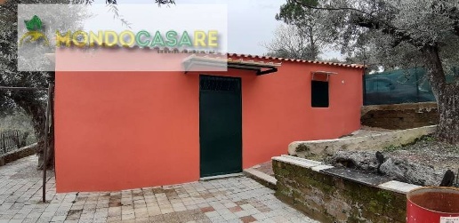 Foto Rustico in Strada di Colle Secco, Palombara Sabina di 50 m² in vendita