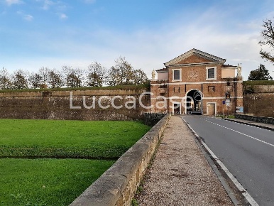 Foto Ufficio a Lucca Sant'Anna di 180 m² con 7 locali in affitto
