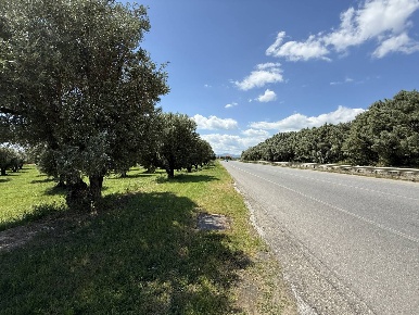 Foto Terreno residenziale in via Bellino, Catanzaro di 14000 m² in vendita