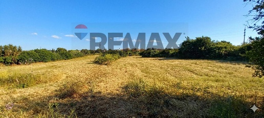 Foto Terreno residenziale in Via Rinascimento 29, Anzio Rinascimento