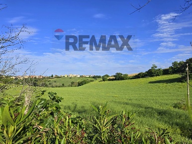 Foto Terreno agricolo a Sant'Elpidio a Mare Cascinare di 12000 m²
