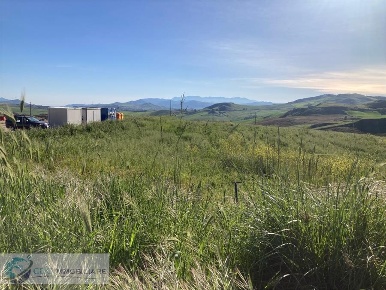 Foto Terreno agricolo in Borgo Riena, Castronovo di Sicilia in vendita