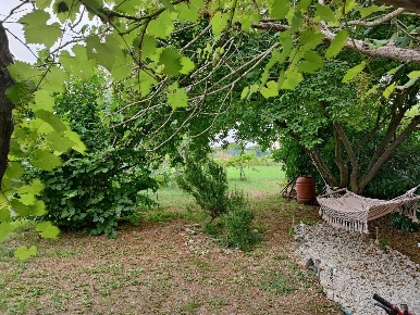 Foto Terreno agricolo a Livorno Sorgenti di 2150 m² in vendita