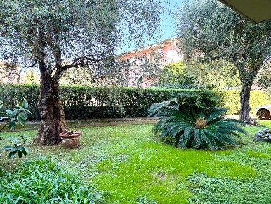 Foto Appartamento a Massa Centro di 110 m² con 6 locali in vendita