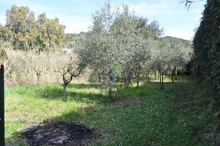 Foto Terreno agricolo in Via di Popogna 441, Livorno La Rosa di 800 m²