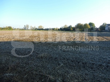 Foto Terreno agricolo in Bosco, Villaverla di 4950 m² in vendita