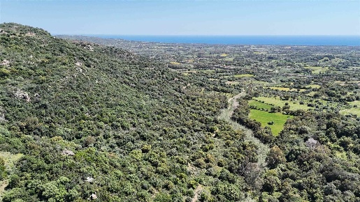 Foto Terreno agricolo a Bari Sardo di 44415 m² in vendita
