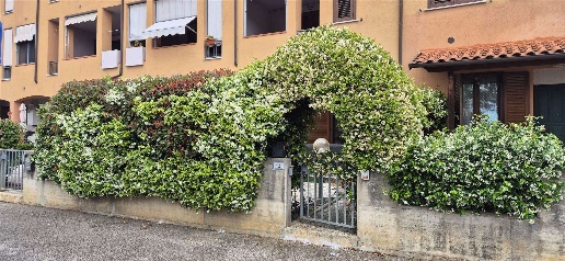 Foto Appartamento in Via Antonio Segni  12, Grosseto Aeroporto - Gorarella