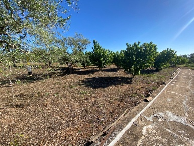 Foto Terreno agricolo in Via Vicinale Oronzino 5296, Gioia del Colle