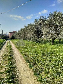 Foto Villa singola a Sarzana Sarzanello, San Lazzaro di 200 m² in vendita