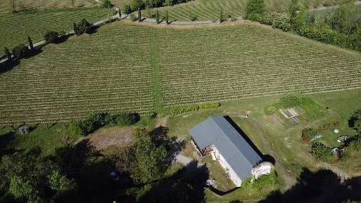 Foto Terreno agricolo in Via Valle 22, Cazzago San Martino in vendita