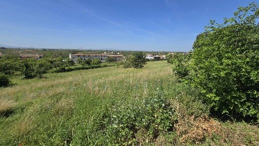 Foto Terreno agricolo in Via Carmignano, Maddaloni di 20000 m² in vendita