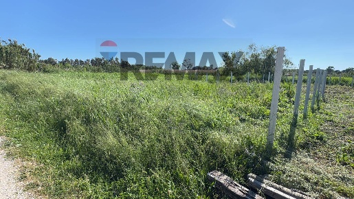 Foto Terreno agricolo in zona industriale, Minturno Centro di 1000 m²