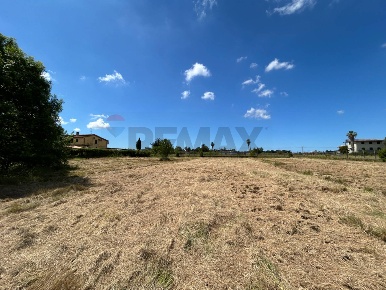 Foto Terreno agricolo a Aprilia Torre del Padiglione - Carano di 5000 m²