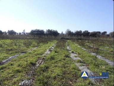 Foto Terreno in Località Prati di Coppola, Latina Litoranea in vendita