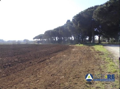 Foto Terreno in Località Prati di Coppola, Latina Litoranea in vendita