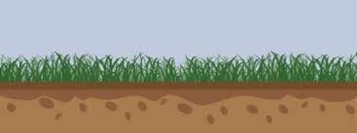 Foto Terreno agricolo a Chioggia Brondolo di 5000 m² in vendita