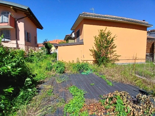 immagine annuncio 11 di 13