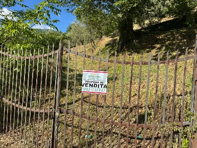 Foto Terreno residenziale in quadrelle, Quadrelle di 4000 m² in vendita