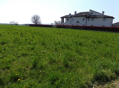 Foto Terreno residenziale a Colceresa di 1200 m² in vendita