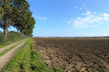 Foto Terreno agricolo a Tarquinia San Giorgio di 38755 m² in vendita