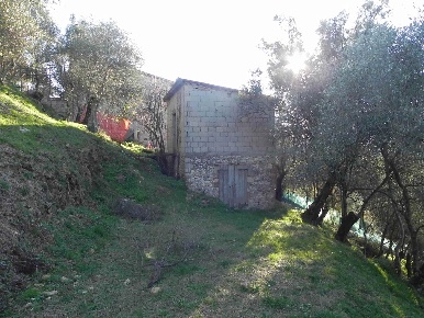 Foto Struttura sanitaria a Camaiore Camaiore Paese di 45 m² con 2 locali
