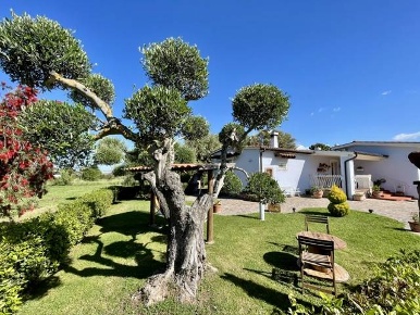 Foto Casa indipendente a Scarlino di 95 m² con 4 locali in vendita