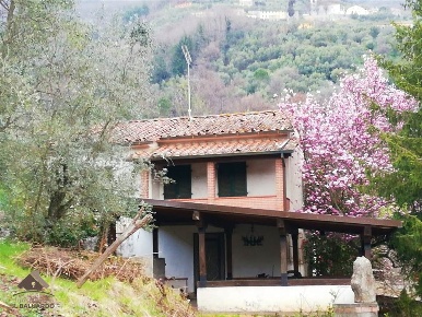 Foto Villa unifamiliare a Lucca Brancoleria di 200 m² con 10 locali