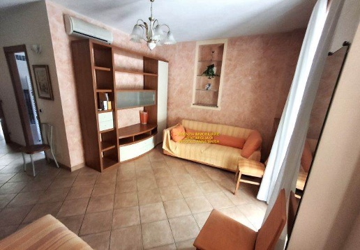 immagine annuncio 3 di 14