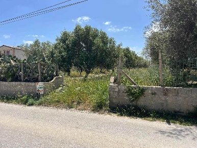 Foto Terreno agricolo in C.da Cozzi, Pachino di 7240 m² in vendita