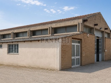 Foto Capannone industriale a Asciano di 220 m² con 4 locali in vendita