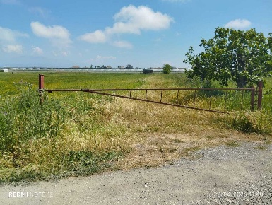 Foto Terreno agricolo in via bernardo tanucci, Eboli Centro di 28000 m²