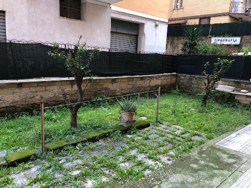 immagine annuncio 3 di 7